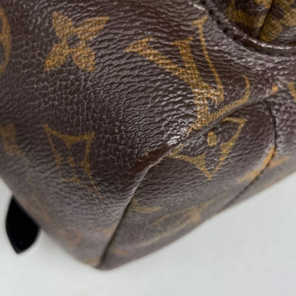 Louis Vuitton Palm Spring Backpack MM Monogram Brown