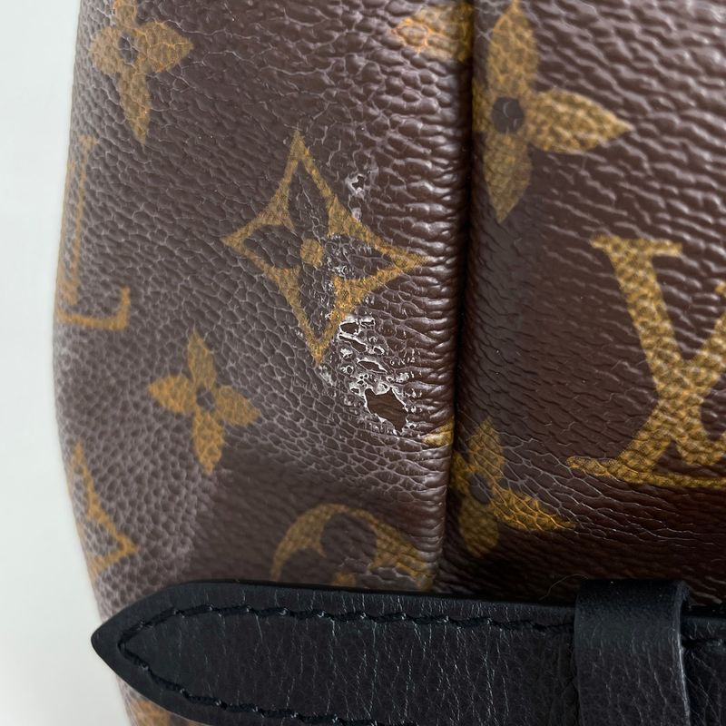 Louis Vuitton Palm Spring Backpack MM Monogram Brown