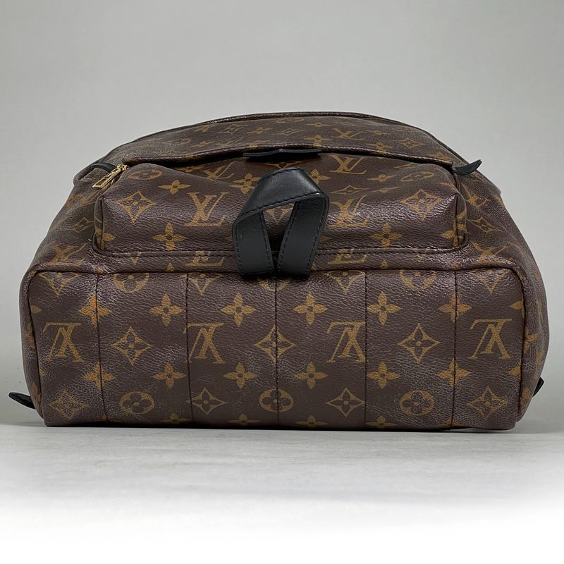 Louis Vuitton Palm Spring Backpack MM Monogram Brown