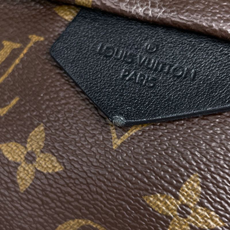 Louis Vuitton Palm Spring Backpack MM Monogram Brown