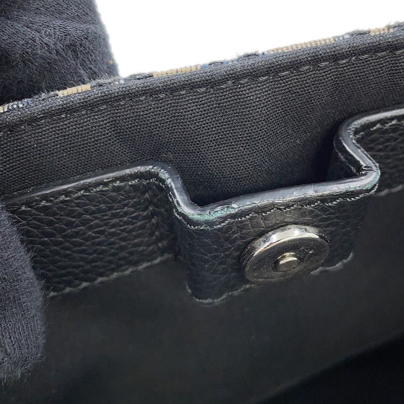 Dior Tote Oblique Saddle Canvas Leather Trotter