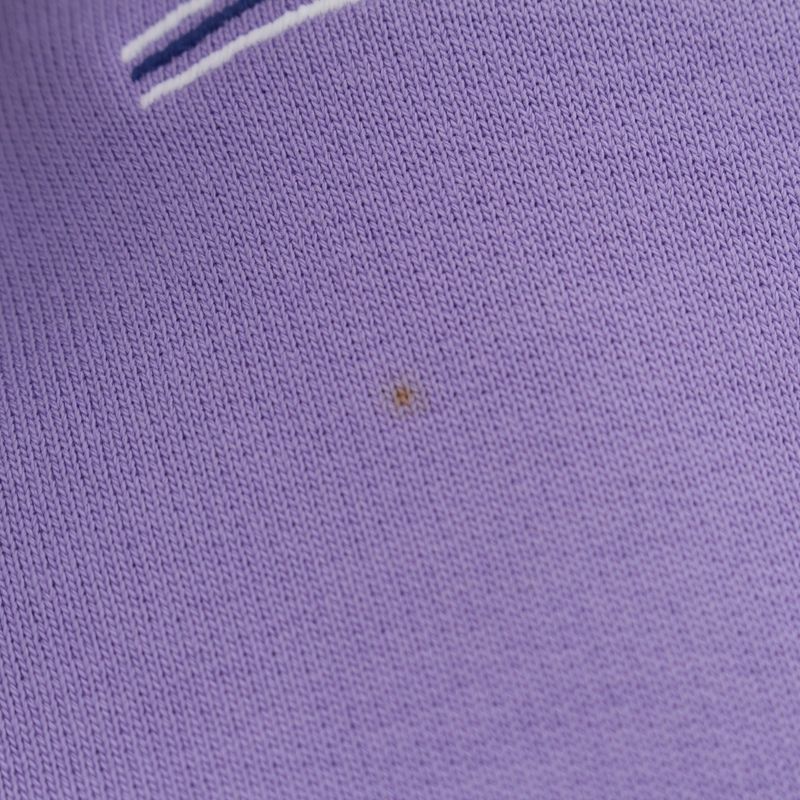 Balenciaga Campaign Logo Pullover Hoodie Top Purple