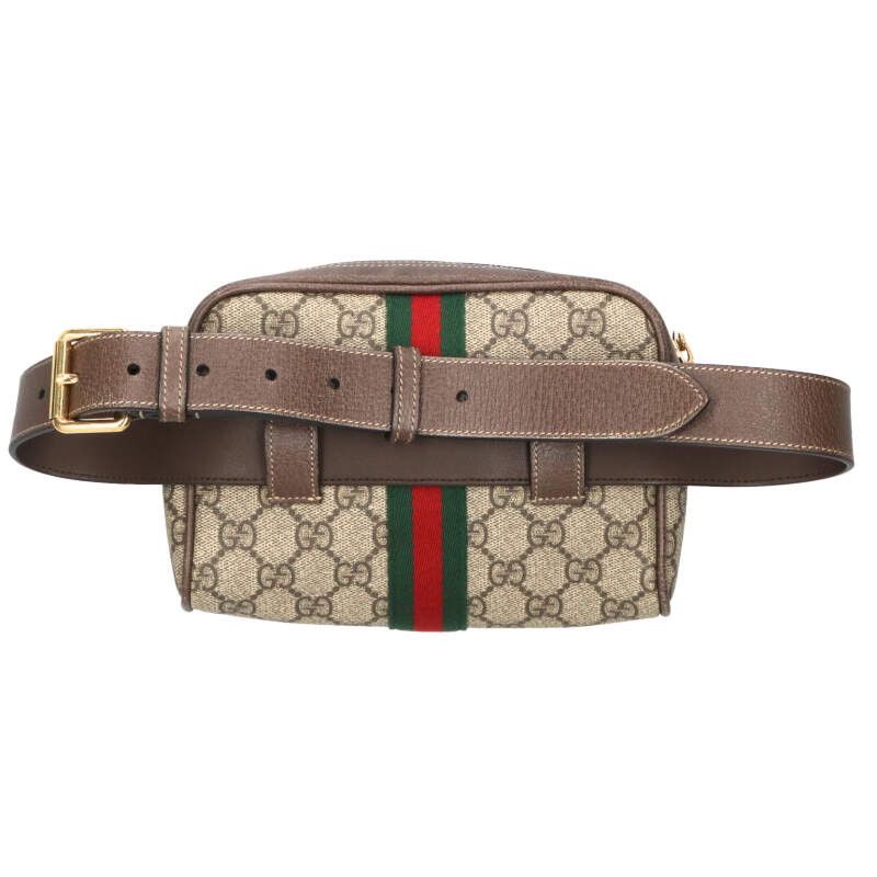 Gucci GG Canvas Leather Belt Bag