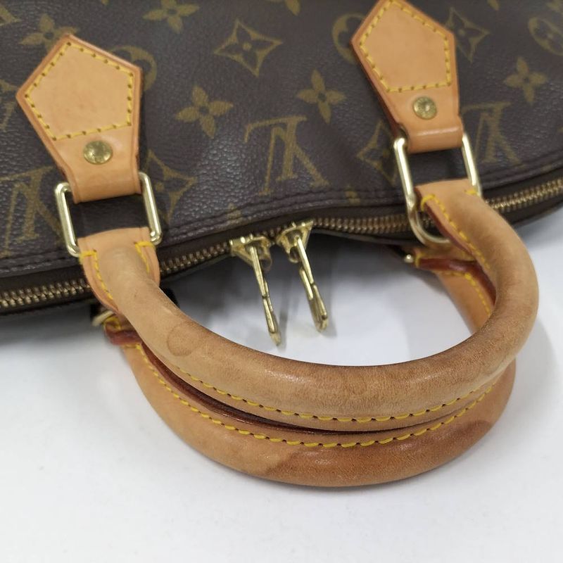 Louis Vuitton Alma Handbag Monogram
