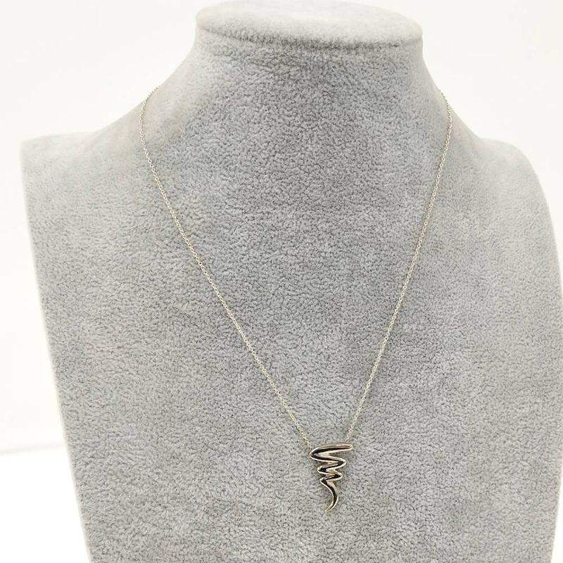 Tiffany & Co Swarable Necklace Paloma Picasso Silver