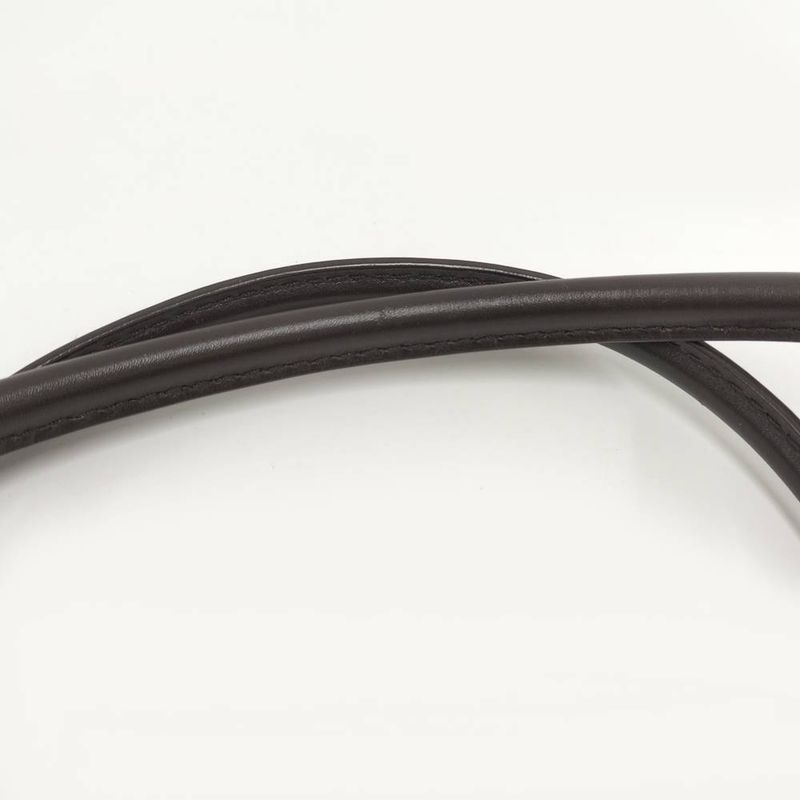 Gucci Ski Tote GG Canvas Leather Brown