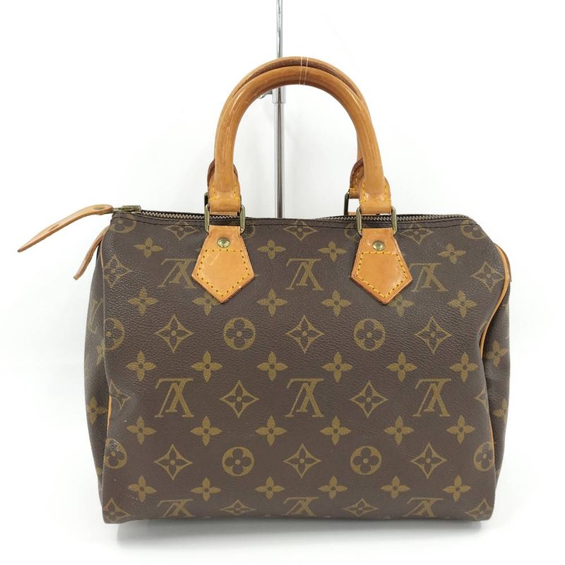 Louis Vuitton Speedy 25 Handbag Monogram