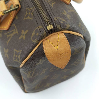 Louis Vuitton Speedy 25 Handbag Monogram