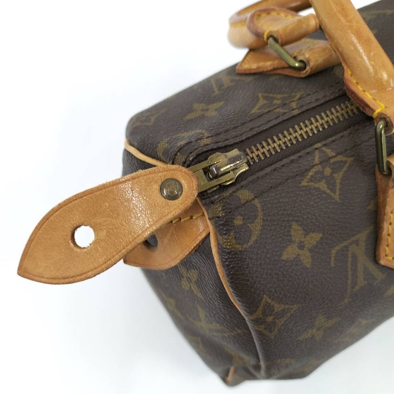 Louis Vuitton Speedy 25 Handbag Monogram