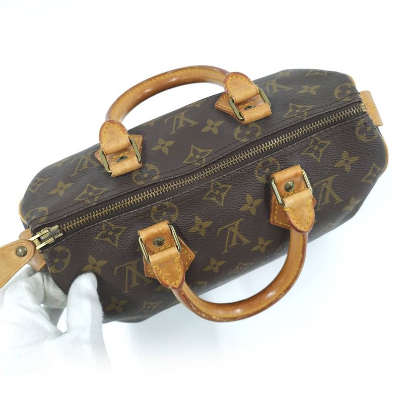 Louis Vuitton Speedy 25 Handbag Monogram