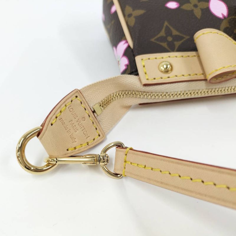 Louis Vuitton Pochette Accessoire Handbag Takashi Murakami Collaboration