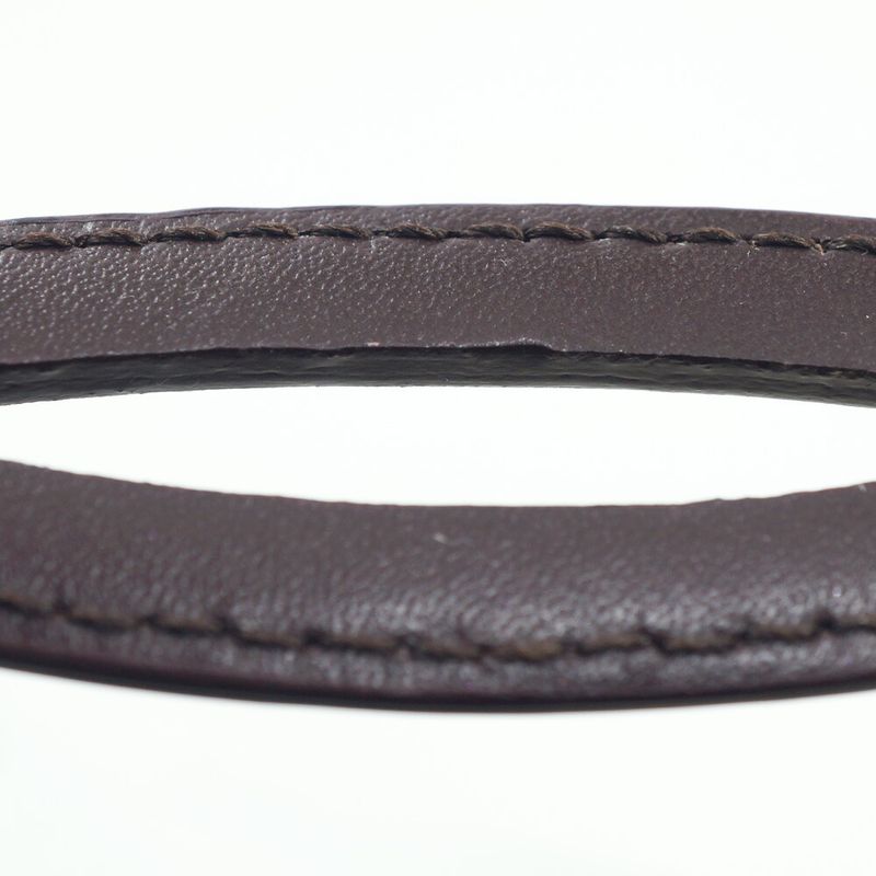 Celine Triomphe Choker Necklace Brown Gold C2