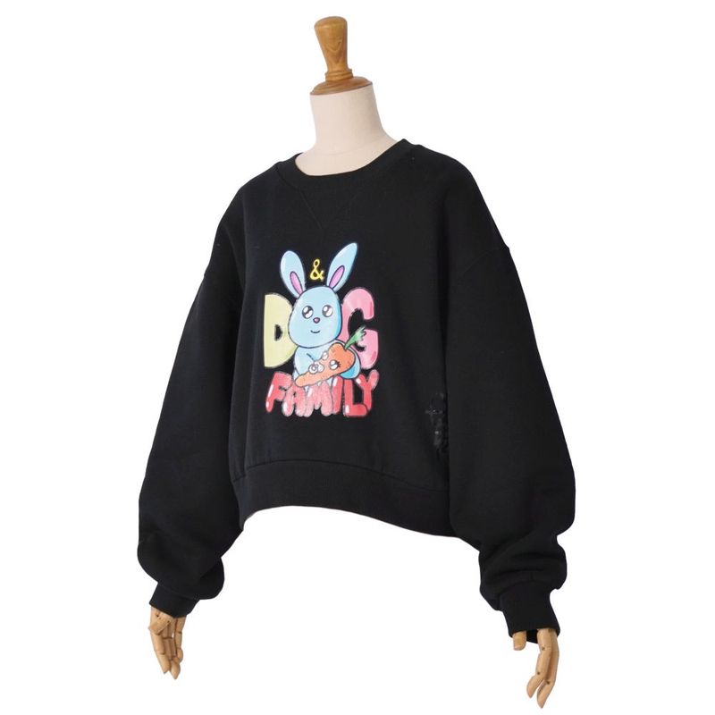 Dolce & Gabbana Sweatshirt Trainer