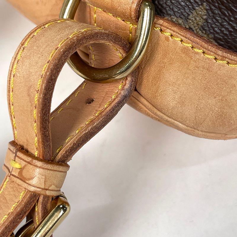 Louis Vuitton Montsouris MM Backpack Monogram Brown