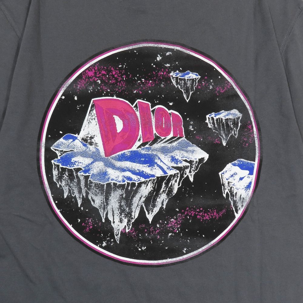 Dior Asterodior Print T-Shirt Short Sleeve Crew Neck Gray