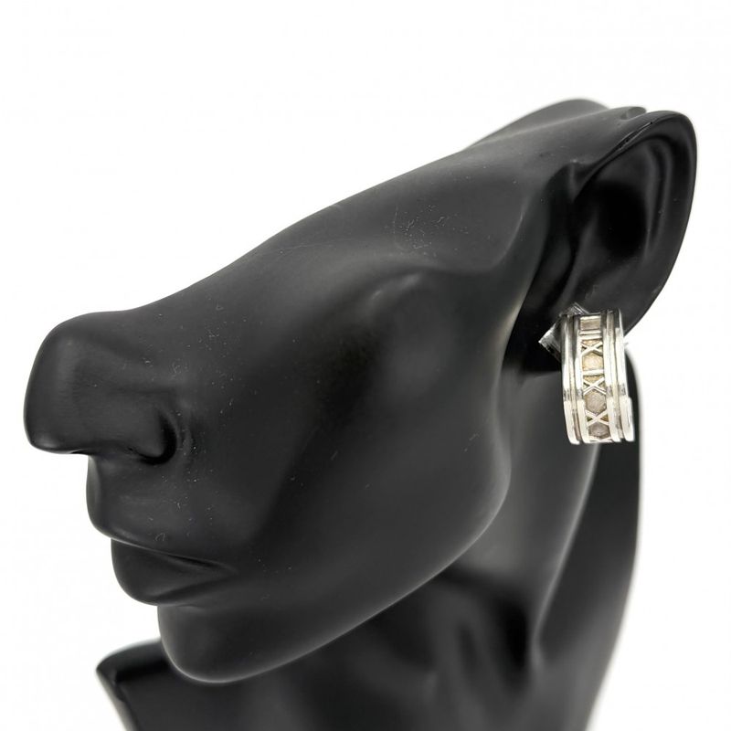 Tiffany & Co Earrings Atlas