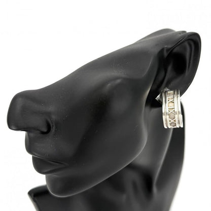 Tiffany & Co Earrings Atlas