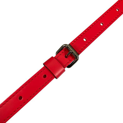 Louis Vuitton Bag Shoulder Strap Red