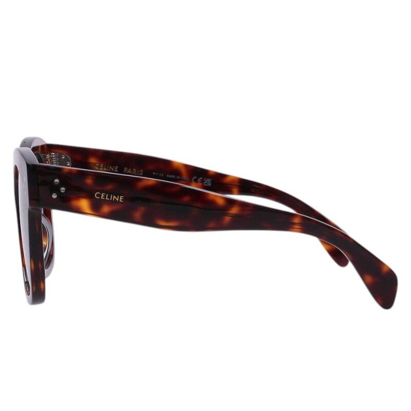 Celine Oversize Frame Sunglasses Eyewear