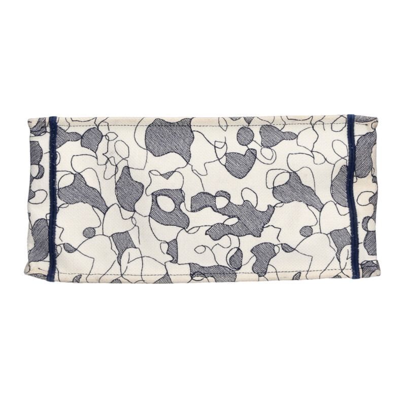 Dior Book Tote Pietro Ruffotto