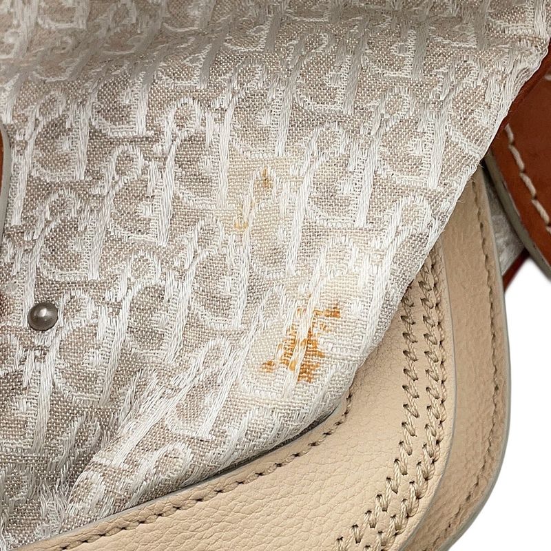 Dior Handbag Oblique Classic Trotter Items