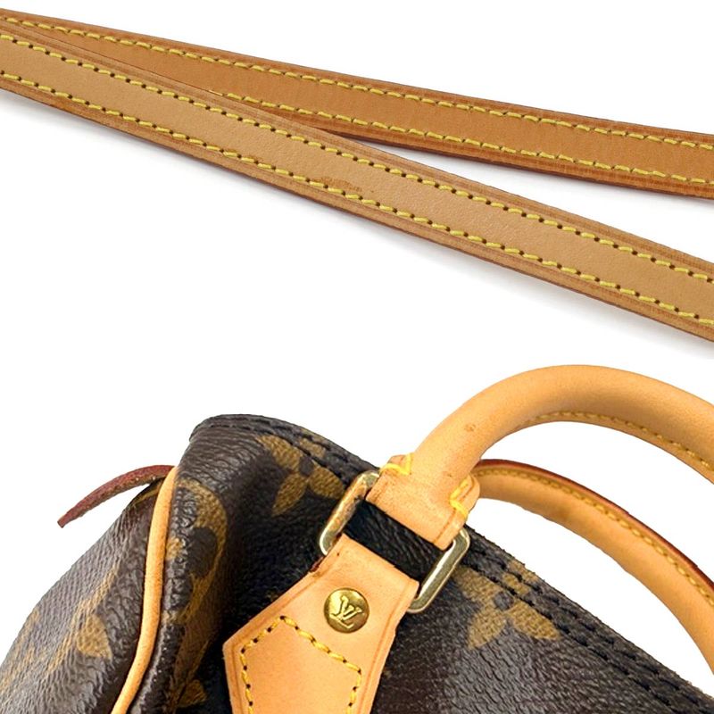 Louis Vuitton Monogram Mini Speedy 2-Way Bag Brown