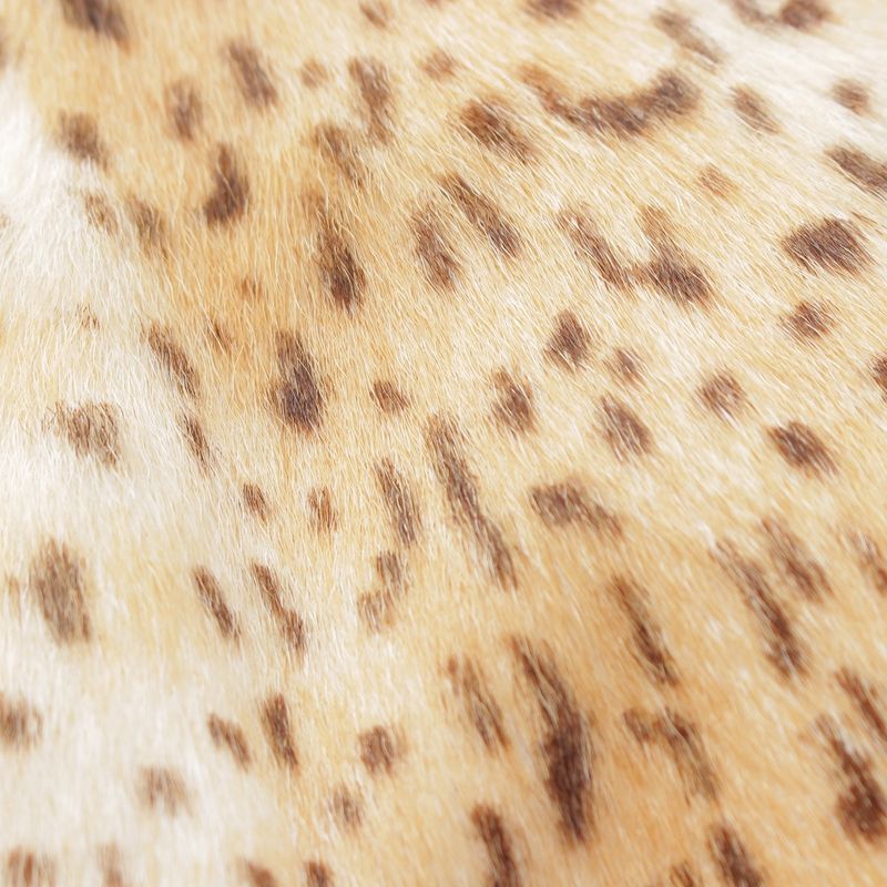 Saint Laurent Anthony Va Carre Lo Goatskin Alpaca Cheetah Leopard Print Jacket