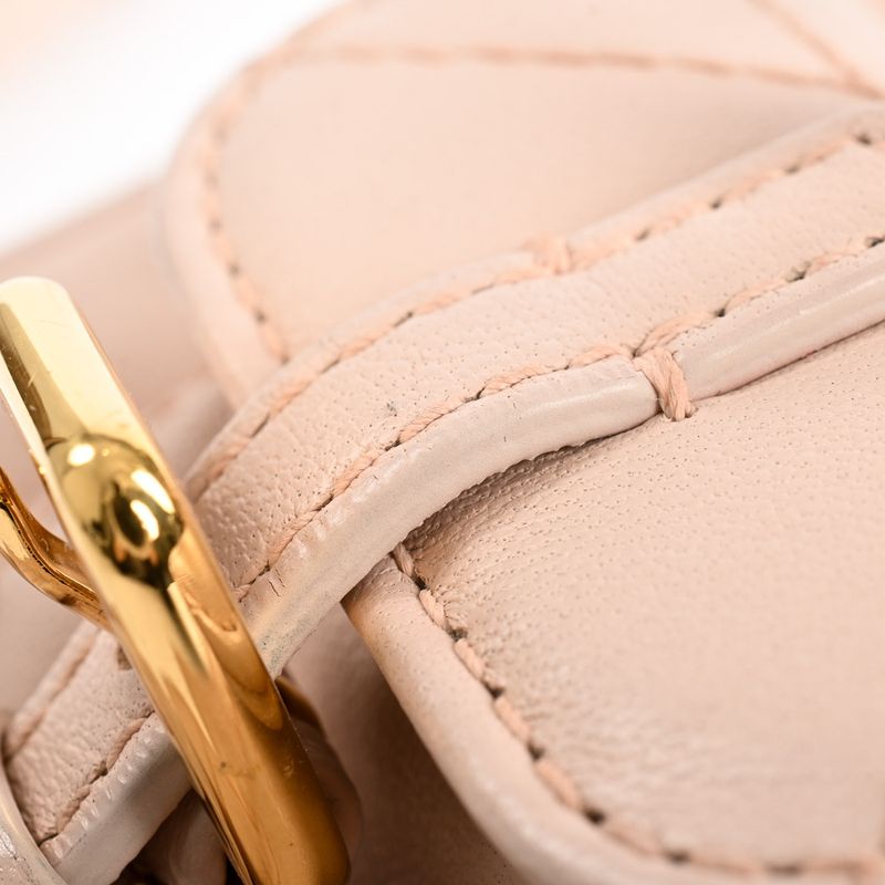 Dior Backpack Caro Nano