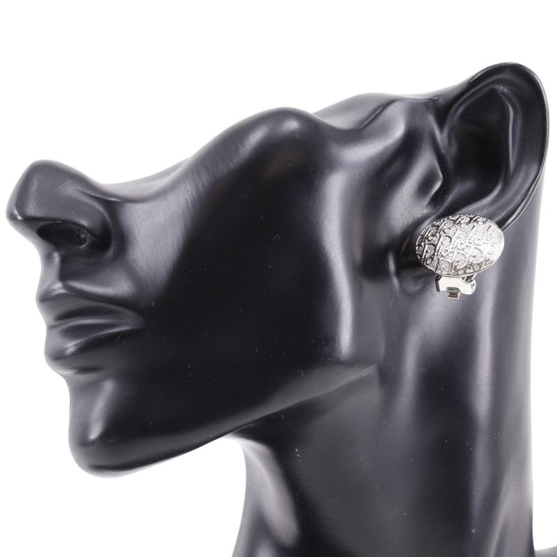Dior Trotter Metal Silver Earrings