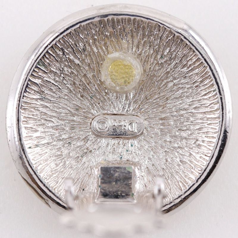Dior Trotter Metal Silver Earrings