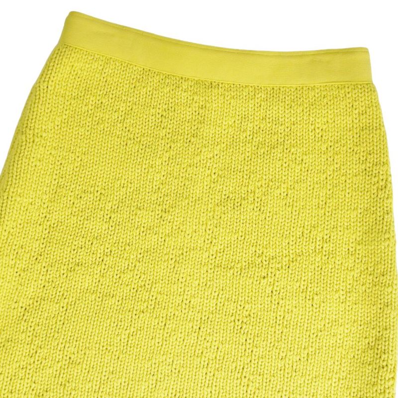 Bottega Veneta Skirt Danielle