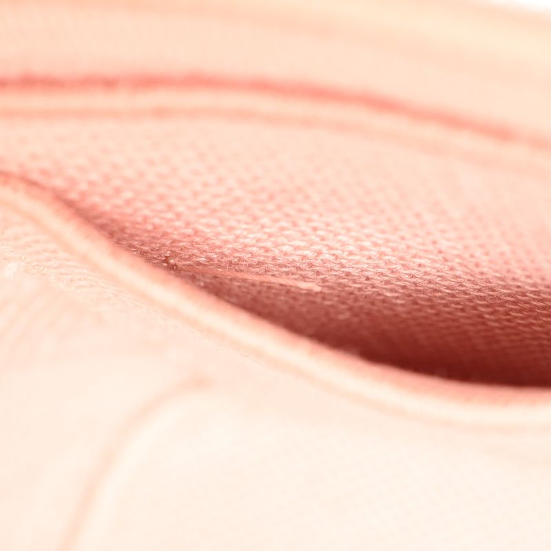 Dior Handbag Vanity Bag