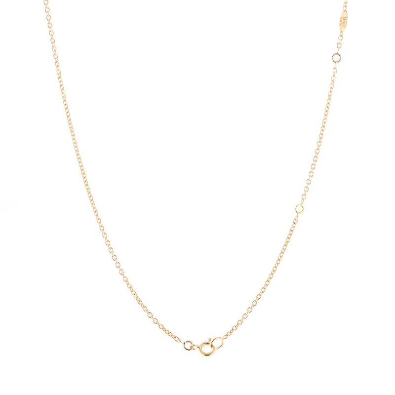 Dior Necklace Rose Des Vents Medallion