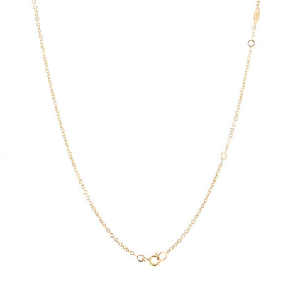 Dior Necklace Rose Des Vents Medallion