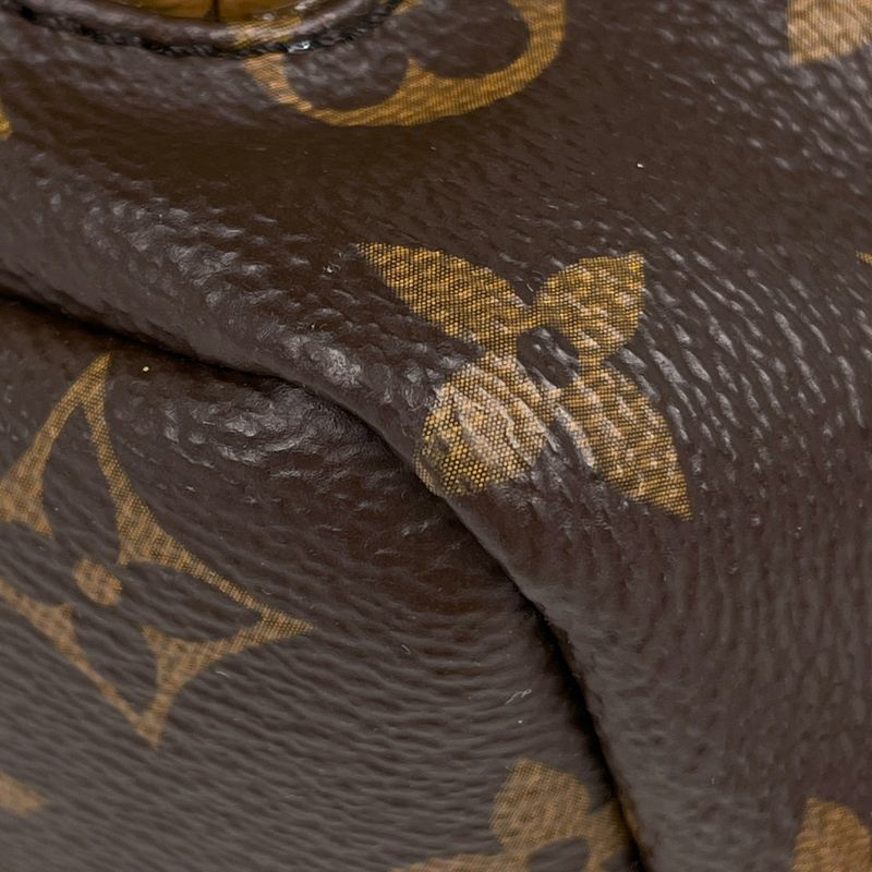 Louis Vuitton Palm Spring Backpack PM Monogram Reverse Brown