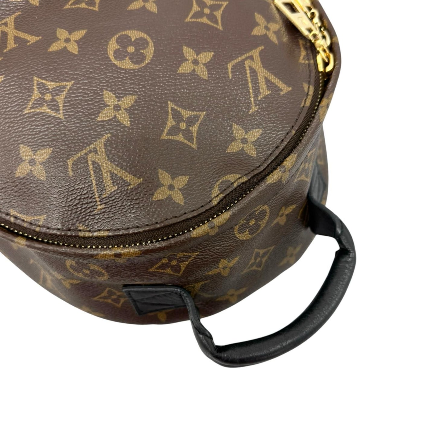 Louis Vuitton Palm Springs PM Backpack Monogram Canvas Brown — view 6