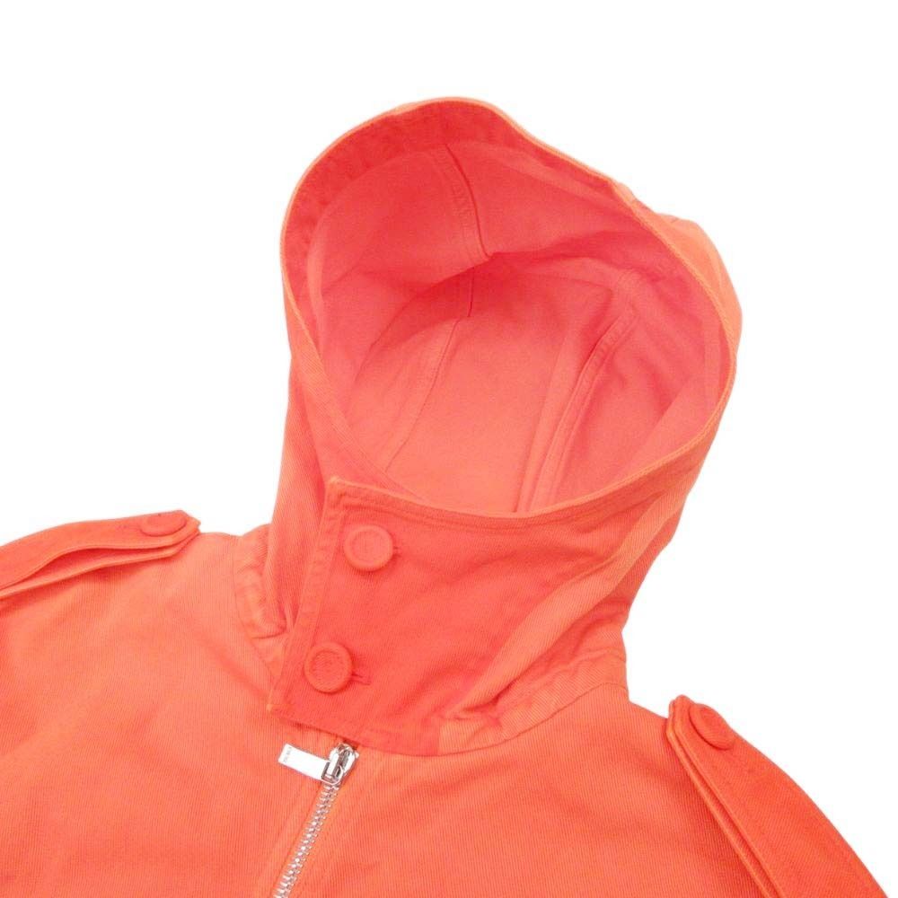 Dior Homme Peter Doig Collaboration Oversize Cotton Hoodie 46 Orange