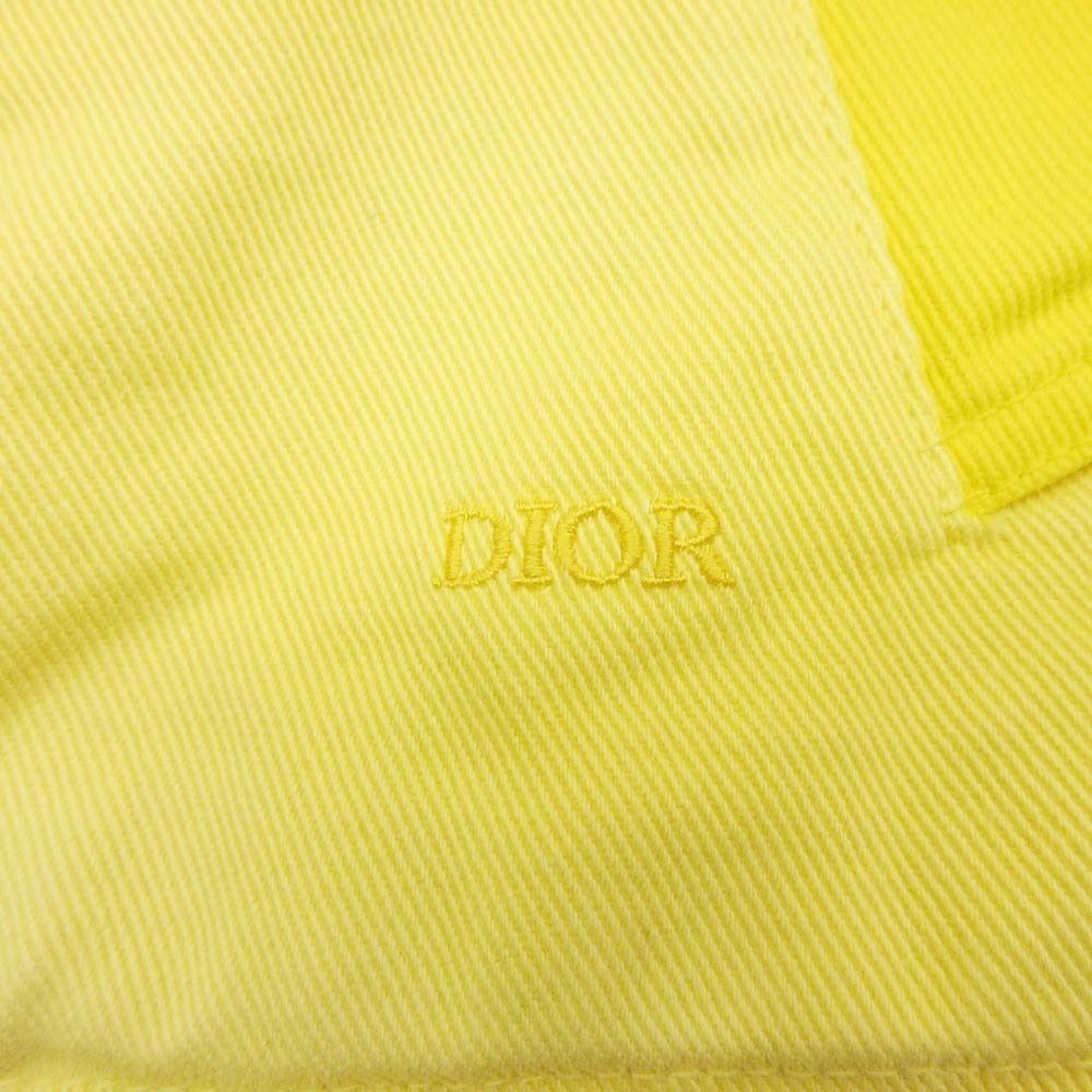 Dior Homme Peter Doig Collaboration Oversize Cotton Hoodie 46 Yellow