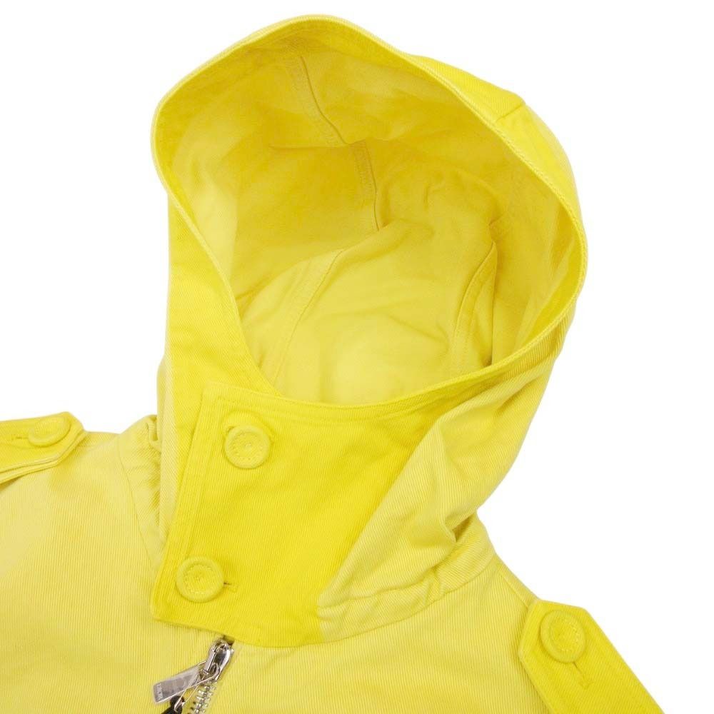 Dior Homme Peter Doig Collaboration Oversize Cotton Hoodie 46 Yellow