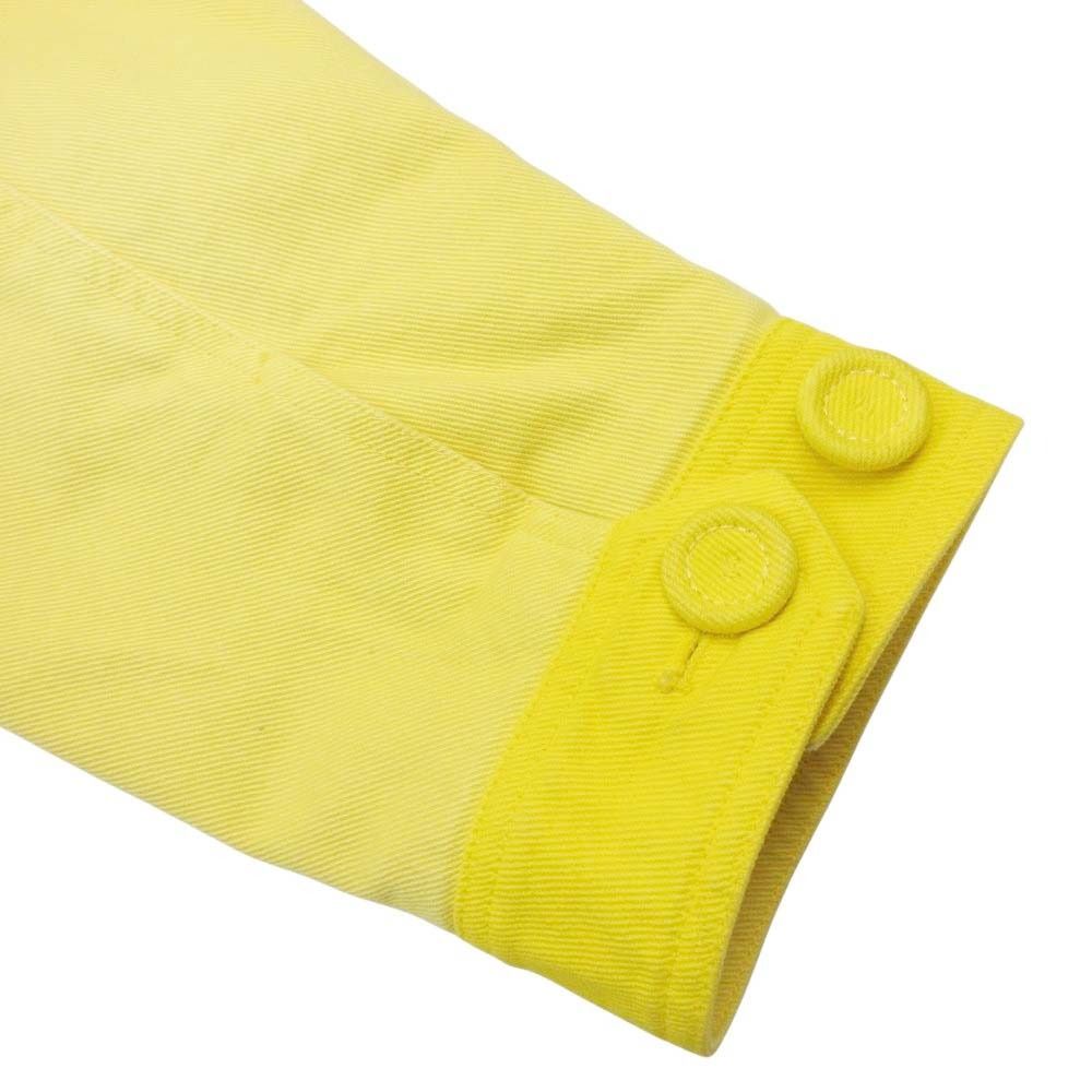Dior Homme Peter Doig Collaboration Oversize Cotton Hoodie 46 Yellow
