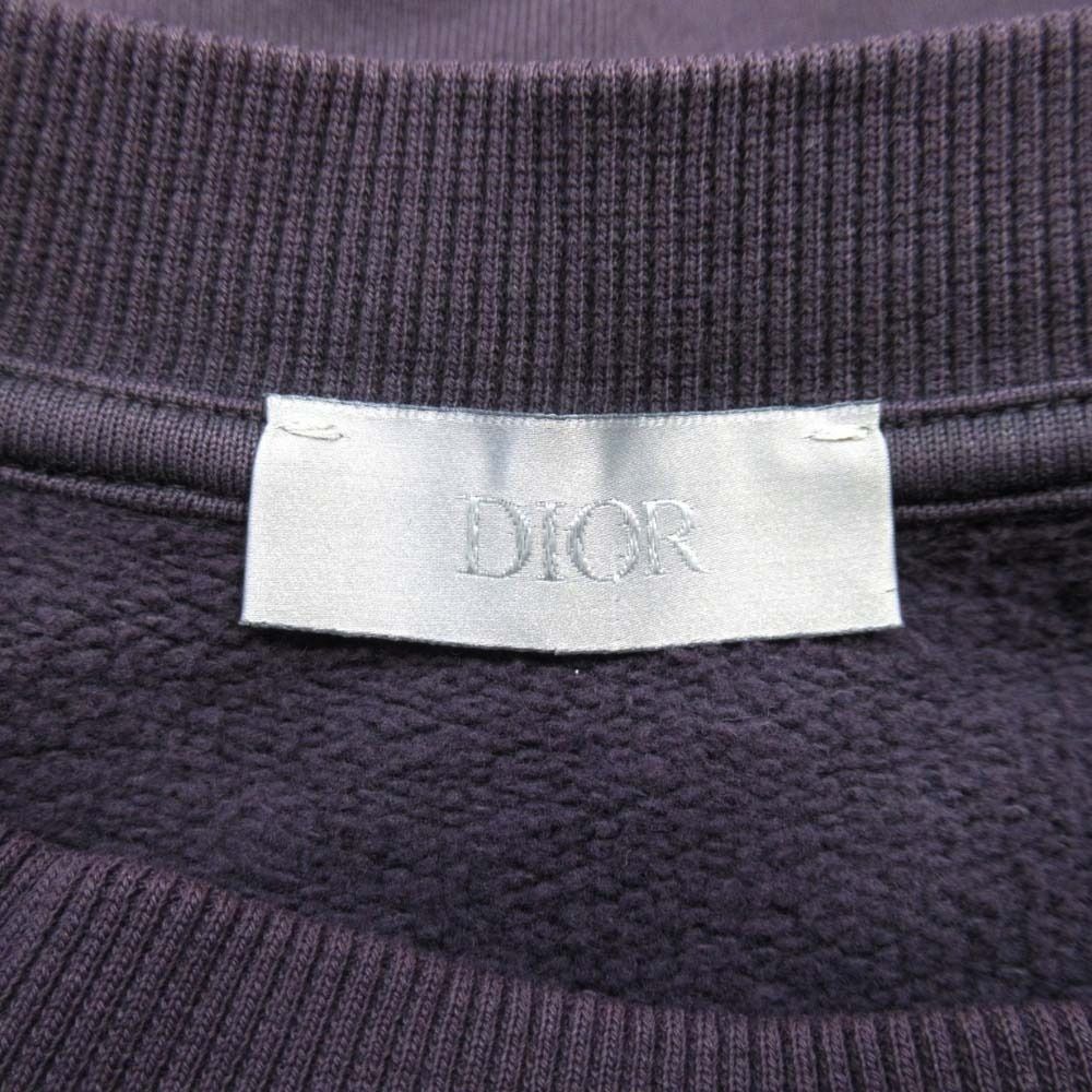 Dior Homme Peter Doig Collaboration Sweatshirt Shirt Lion Embroidery Fleece