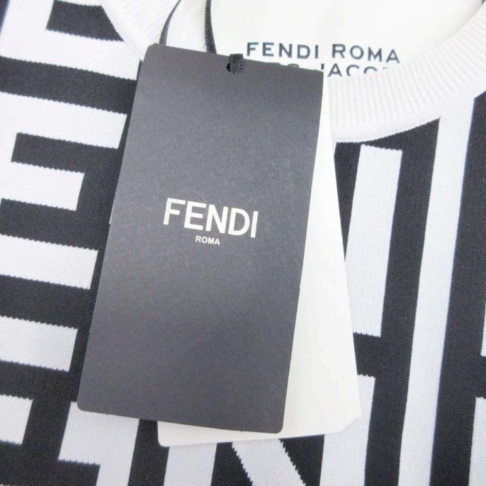 Fendi Logo Allover Knit Sweater Pullover Long Sleeve Capsule