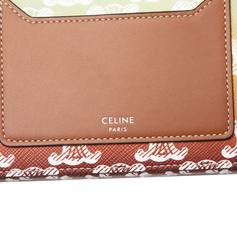 Celine Triomphe Horizontal Pouch Crossbody Shoulder Bag Brown Multicolor Leather