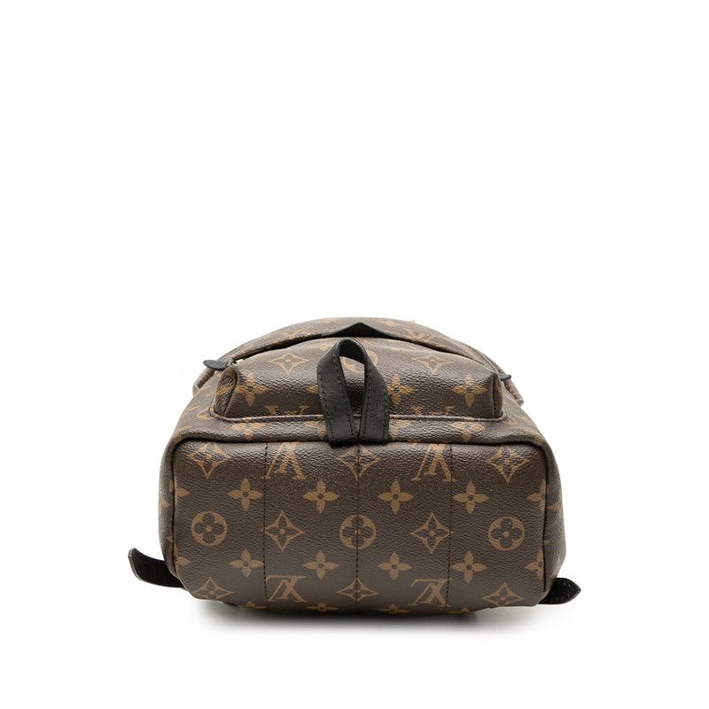 Louis Vuitton Monogram Palm Spring PM Backpack Brown Black Leather