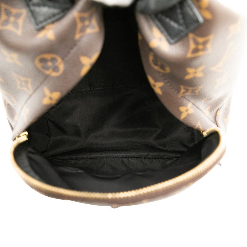 Louis Vuitton Monogram Palm Spring PM Backpack Brown Black Leather