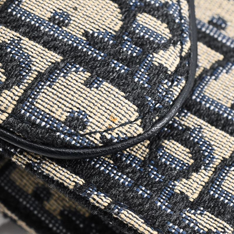 Dior Belt Bag Saddle
