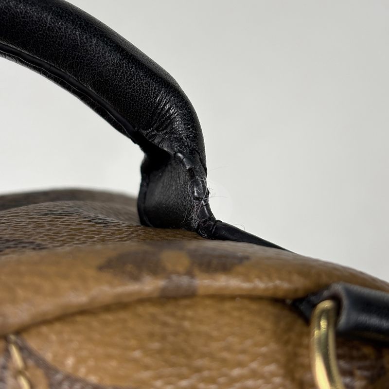 Louis Vuitton Palm Spring Backpack Mini Monogram Reverse Brown