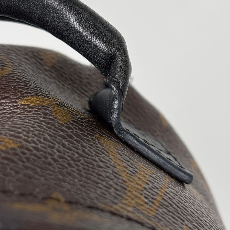 Louis Vuitton Palm Spring Backpack Mini Monogram Brown Black