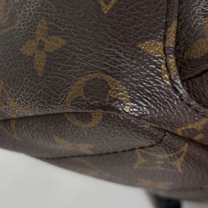 Louis Vuitton Palm Spring Backpack Mini Monogram Brown Black