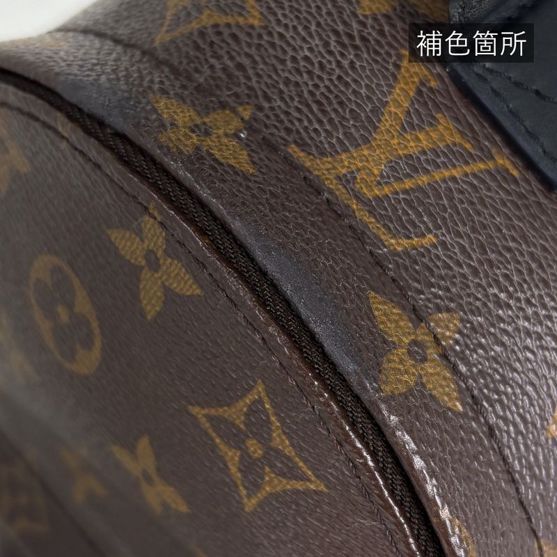Louis Vuitton Palm Spring Backpack Mini Monogram Brown Black